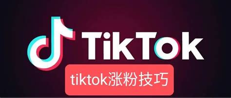 网页版tiktok怎么看商店页面，tiktok店铺页展示入口 - TikTok培训