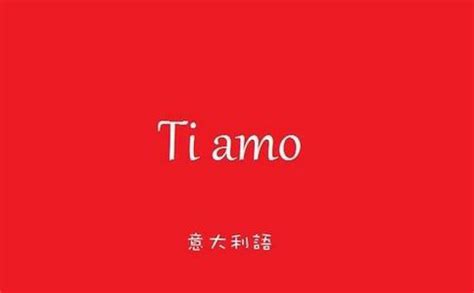 意大利语翻译中文转换器app下载-意大利语翻译中文转换器手机版下载v1.0.1 安卓版-绿色资源网