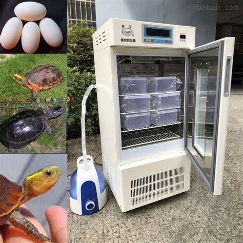 伊科贝特水床孵化机家用小型多功能鸡鸭鹅鸽子孵化器20枚孵化箱-阿里巴巴