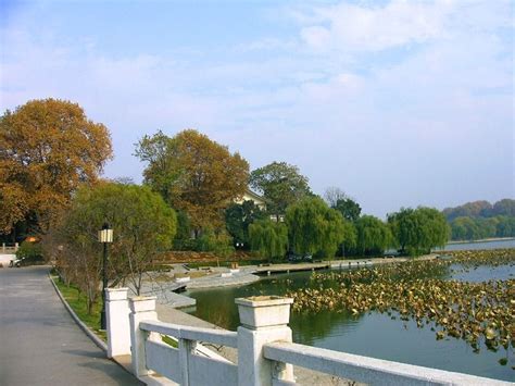 2024古林公园游玩攻略,4-5是牡丹、芍药的季节，南京...【去哪儿攻略】