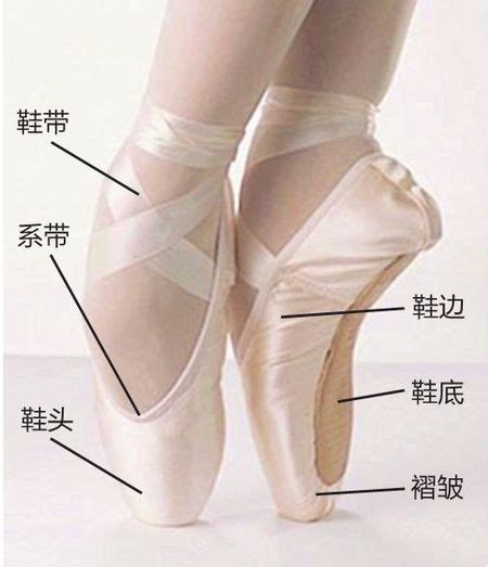 芭蕾舞者凭什么毫不费力就能用脚尖站立？ 看完又涨姿势了|芭蕾|舞者-知识百科-川北在线