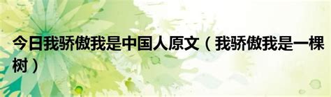 中国骄傲,书法字体,字体设计,设计模板,汇图网www.huitu.com