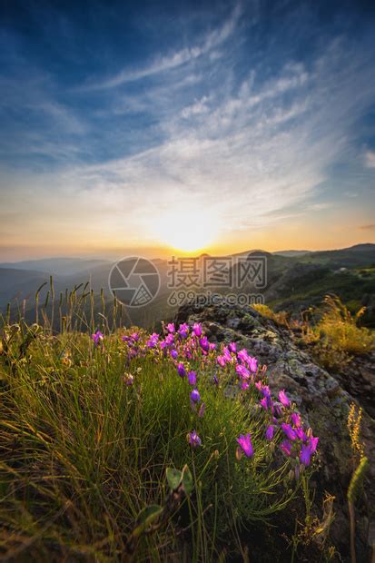 山中的春天风景与花日出拍摄高清图片下载-正版图片503233002-摄图网