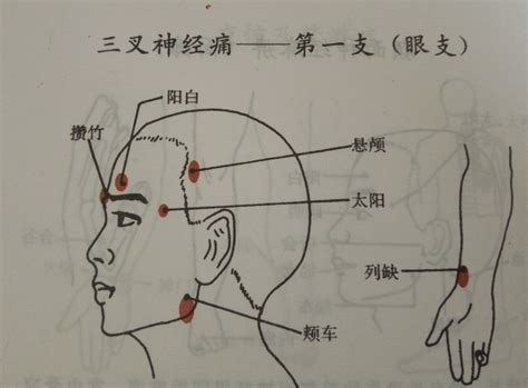 天容的准确位置图图片 天容的准确位置图图片