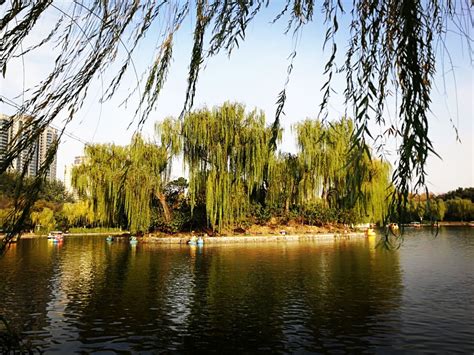 2020长乐林场-旅游攻略-门票-地址-问答-游记点评，杭州旅游旅游景点推荐-去哪儿攻略