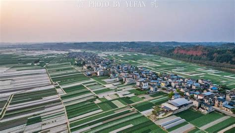 潼南桂林坝：重庆最大的蔬菜基地，堪称乡村振兴的重庆样板__财经头条