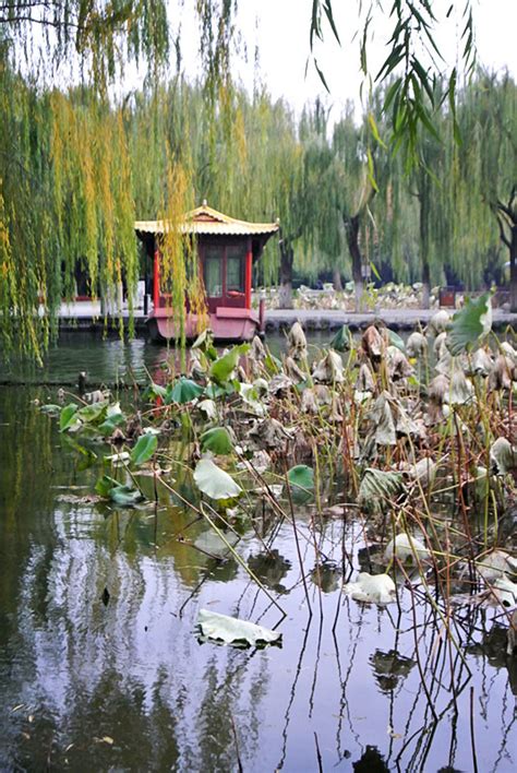 趵突腾空、明湖泛舟，有一种美，叫济南的秋天！ | 央媒头条