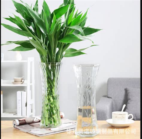 水培玻璃透明富贵竹花瓶摆件客厅插花欧式简约大号水养直筒瓶特大-阿里巴巴