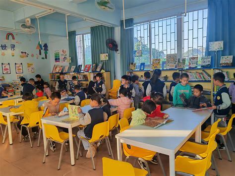 镇安镇第二中心小学 - 满天星公益︱专注于乡村儿童阅读推广的公益机构