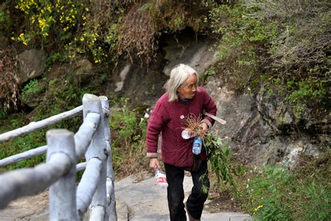 东方老太婆图片