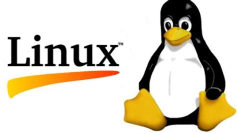 Linux入门基础--使用Xshell和finalshell模拟远程连接_Mr_yangxs的博客-CSDN博客