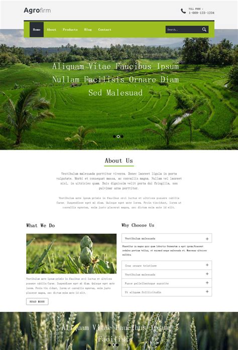 农业企业网站模板_农业企业网站源码下载-PageAdmin T9567