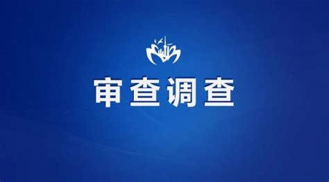 上海市普陀区人民法院副院长唐敏接受纪律审查和监察调查_新民社会_新民网