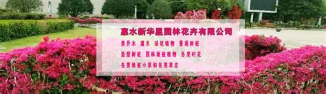 深圳市绿色花卉园林有限公司