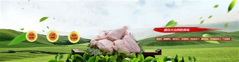 小巨人畜牧设备,养鸡设备,蛋鸡养殖,肉鸡养殖,养殖设备,蛋鸡笼,肉鸡笼,平养,养鸡,养殖