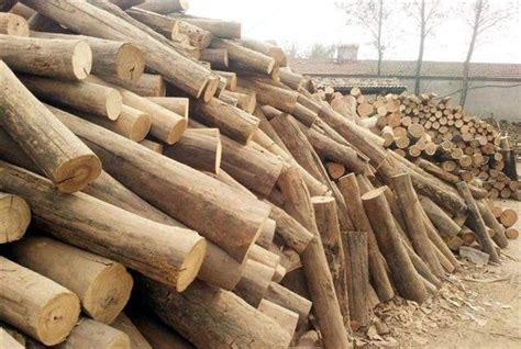 木头收购多少钱一吨，怎么判断收购价是合理的_行业资讯_木头云
