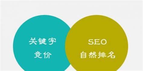 提升SEO排名的10个技巧（从优化网站结构到提高用户体验）-8848SEO