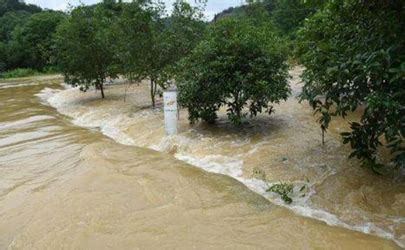 全力救援！信阳多地发生洪涝灾害，消防已紧急疏散675人-大河网