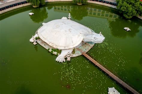 农民养鳖致富，投资2.5亿元建东方巨龟苑景区，龟眼睛一只重1.5吨