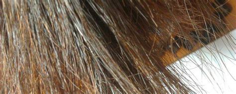 粗硬发质适合什么烫发 头发这样烫超级气质_经典烫发型 - 美发站