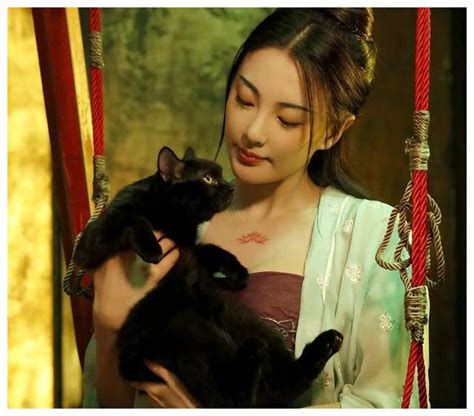 猫妖精图片