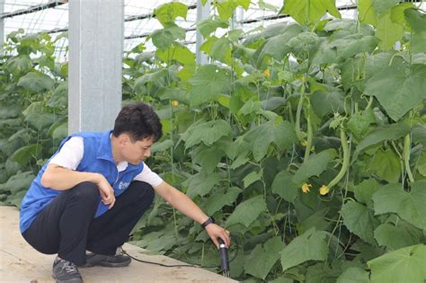 连云港市3个项目入选全省首批高标准农田示范项目_我苏网