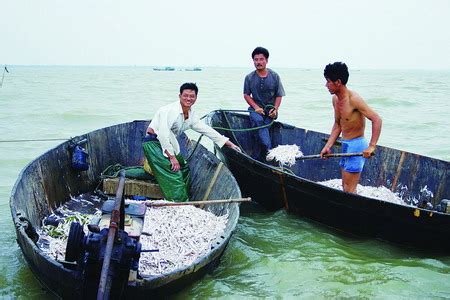 ) 巢湖开湖捕鱼(图)_新闻中心_新浪网