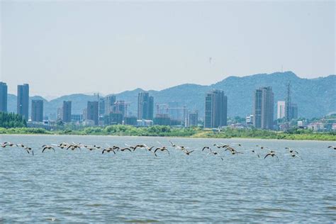 2024青山湖风景区游玩攻略,宁静而又美丽，湖很大，就在...【去哪儿攻略】