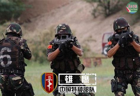 推荐几个有关中国特种部队的电视剧或电影。-