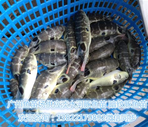 鱼饲料原料储存的环境要求-大石桥市通亮饲料厂