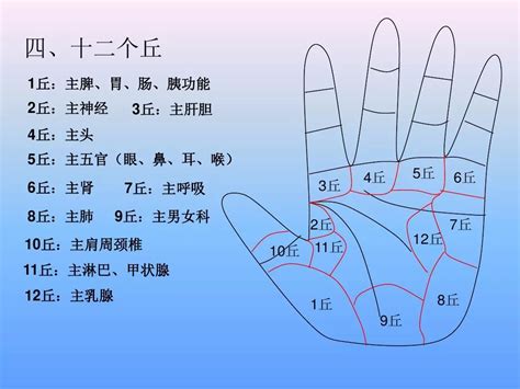 手诊图解看疾病图片