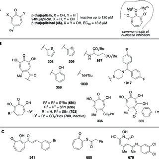 Representative structures of RFVF inhibitors. (A) Inactive and active ...