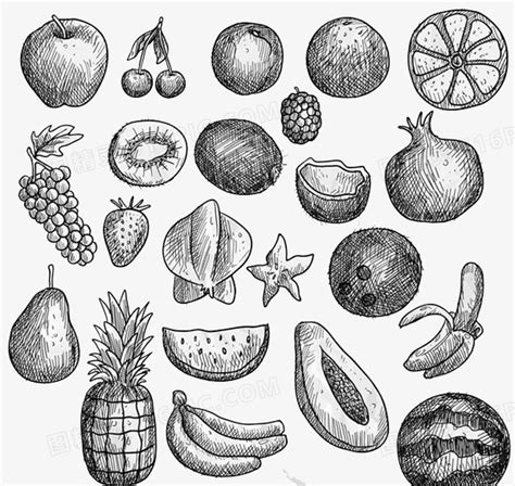 水果素描图片