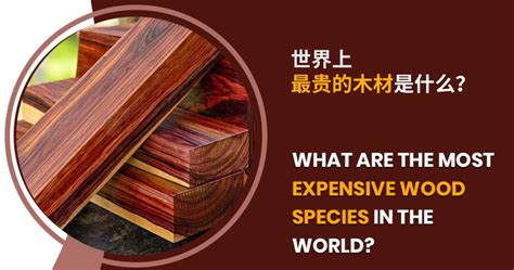 世界上最贵的木材是什么?_行业资讯_木头云