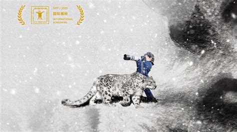 纪录片《雪豹和她的朋友们》定档8月4日 曾获最受传媒关注纪录电影奖