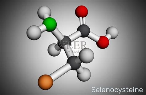 紫薯因富含硒元素被誉为“抗癌大王 ．硒元素的部分信息如图所示．下列说法不正确的是( )A．硒是一种非金属元素B．硒元素的质子数为34C．硒的 ...