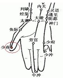 少商穴位图图片