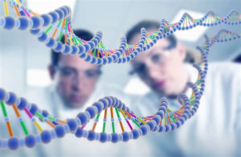 基因工程 - 知乎