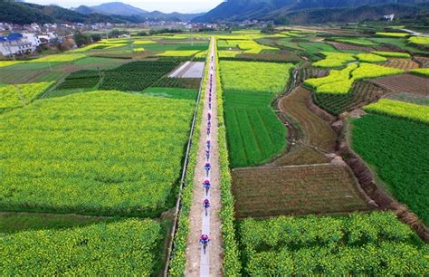 在农村种植什么能挣钱-致富经-中国花木网