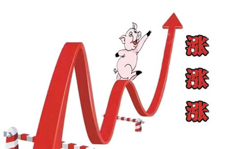 猪价再次上涨，业内普遍预期，猪价仍有至少一年左右的景气周期！_凤凰网视频_凤凰网