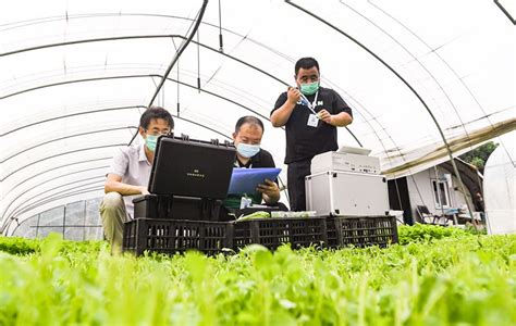蔬菜农残检测范围及检验流程-湖南可成仪器设备有限公司