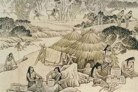 初中历史知识点：氏族社会 - 人类文明的开端 - 阳光小屋
