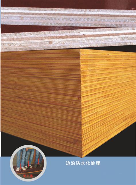 建筑模板厂家 建筑木模板小红板尺寸标准 房建桥梁支模不开胶-阿里巴巴
