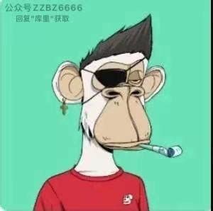 库里同款头像猴子图片