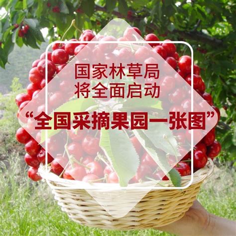 国家林草局全面启动“采摘果园一张图”试点-新闻中心-温州网