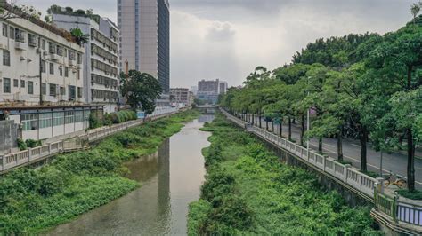 宝安水经注·西乡 | 清水绿岸、白鹭翩跹，记忆中的河流回来了！_深圳新闻网