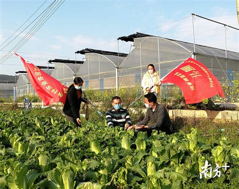 智慧农业解决方案 - 解决方案 - 上海畅响自动化技术有限公司