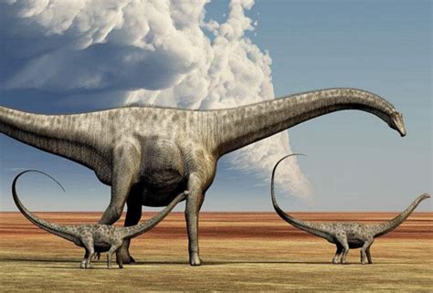 十大最强恐龙排名 最厉害的恐龙第一名是哪种：梁龙、异特龙