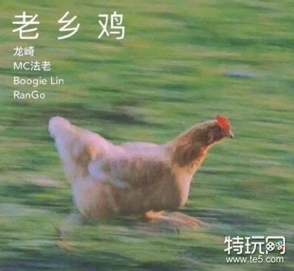 老乡鸡玩梗作年终总结，护送合肥土鸡小鹏一路旅行去深圳