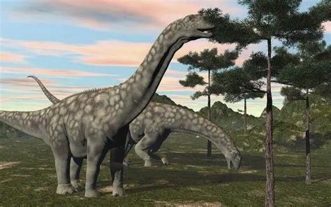 蜥脚类恐龙：体型对比，及其分支与人类的身高比较_腾讯视频